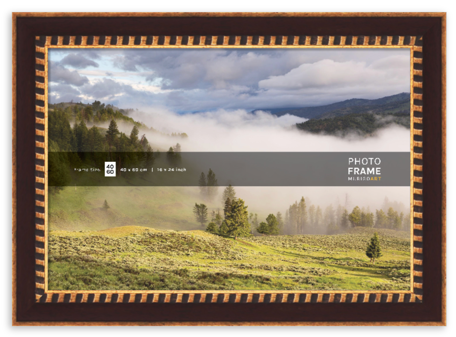 Wall Frame FPX - Alexandria - Image 2