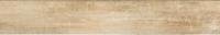 L294113 — Alloy Champagne 1′