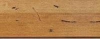 L366152000 — LJE Moulding