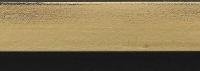 L913055 — LJC Verdi Float Moulding