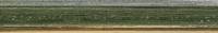 LI2976 — 26mm Bloomsbury Fern Green