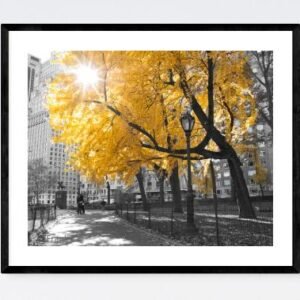 City Photography Art Prints - Pathway through Central Park, New York